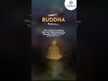 Happy Buddha Purnima | Hospaccx Healthcare Business Consulting Pvt. Ltd. in Mumbai