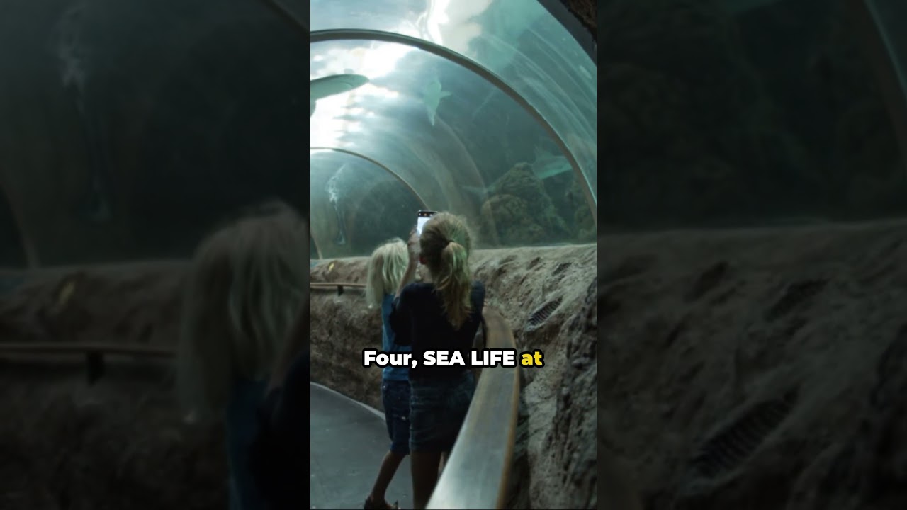 Bloomington Bonanza: Top 5 Must-Dos 