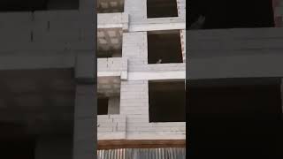 2 Saattir Kedi Arıyorum Benim Orjinal Videomdur Çalmayın