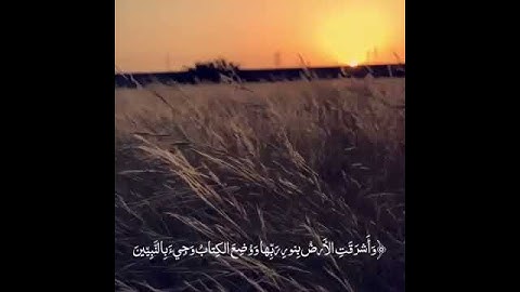 وَأَشْرَقَتِ الْأَرْضُ بِنُورِ رَبِّهَا - حالات واتس اب دينية - سورة الزمر | ماهر المعيقلي