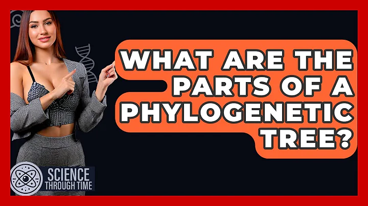 What Are The Parts Of A Phylogenetic Tree? - Science Through Time