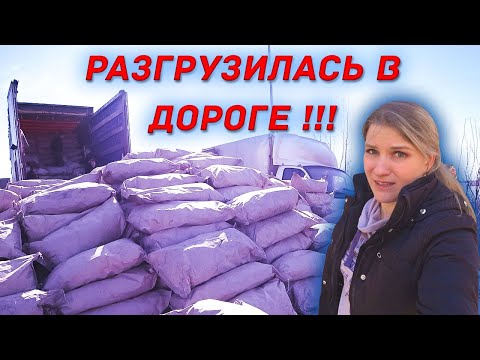 Видео: ПОПАЛА ПОД РАМКУ. ШТРАФ 150  ТЫСЯЧ. ВЫГРУЗИЛАСЬ ПРЯМО НА ТРАССЕ!