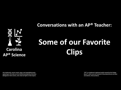Favorite Clips - Conversations with AP® Teachers
