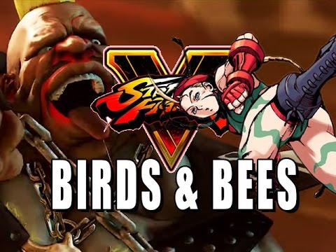THE BIRDS & THE BEES: Street Fighter 5 Online Matches