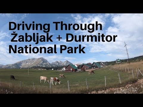 A Drive Through Žabljak + Durmitor National Park | Montenegro Travel Guide