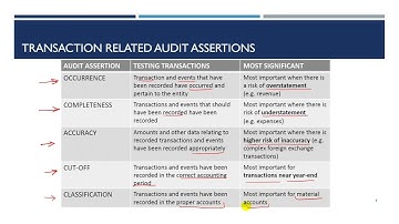 21. Audit Assertions