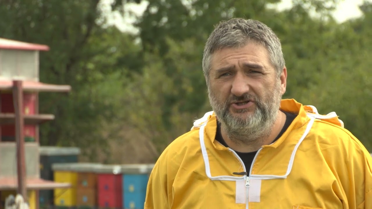 Boja meda ep. 285 22.08.2023 Avgust u pčelinjaku, bagremov med, nozemoza