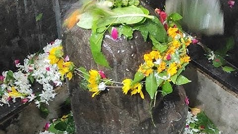 सावन का तीसरा सोमवार लाइव दर्शन कीजिए