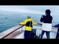 Dolphin Dance In Pacific Ocean (Must Watch)