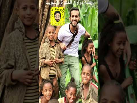 مزارع القهوة المختصة في ايرغاتشيفي وسيدامو اثيوبيا