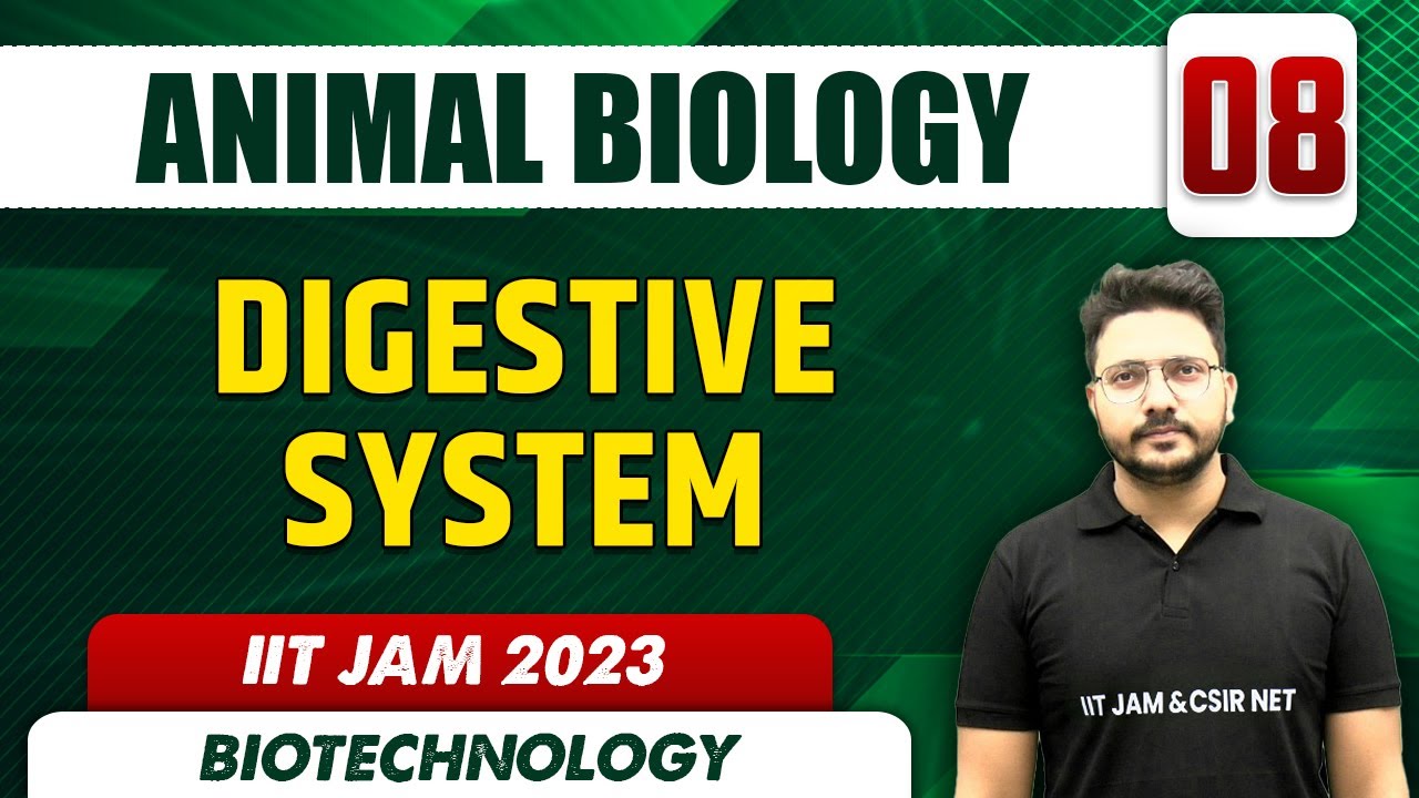 Digestive System  l Animal Biology 08 l IIT JAM 2023