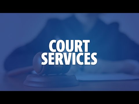 Court Services - 2023 Annual Report