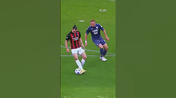 ZLATAN IBRAHIMOVIC THINGS 