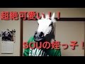 姪っ子はSOUのゆうことを聞いてくれるのか!?