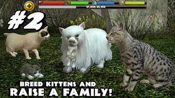 Stray Cat Simulator By Gluten Free Games - Android & iOS - Gameplay Part 2