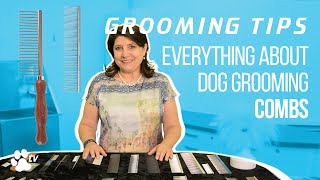 Grooming Tips: everything about dog grooming combs | TRANSGROOM