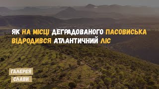 Ліс замість пасовиська. Як ініціатива рятує планету. Сім&#39;я Салгаду та їх проект &quot;Institutto Terra&quot;