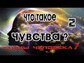 Download Что такое Чувства (2) Биология чувств Что такое Чувства (2) Биология чувств
