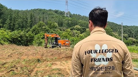 캣치독팀의 새로운 네발친보호소 건설을 시작합니다