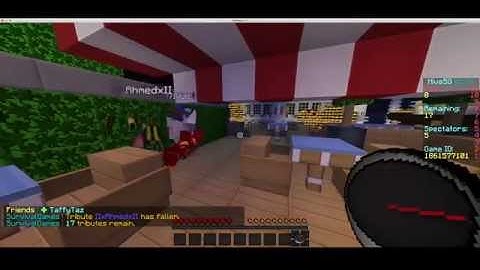 HiveMC Report: AK47IVulcan hacking (Survival Games)