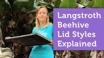 Beehive Lids Explained - Migratory Vs. Outer Cover PLUS Cheap & Easy Lid You Can Make Yourself