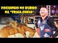 Montarias em BURRO na Traia Cheia - Sabino 2019