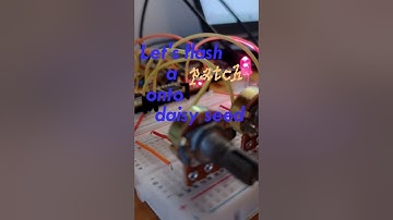 How to flash a patch from Plugdata to Daisy Seed