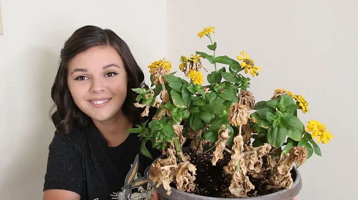 I Planted Flowers! Lindsey's Life Ep. 10