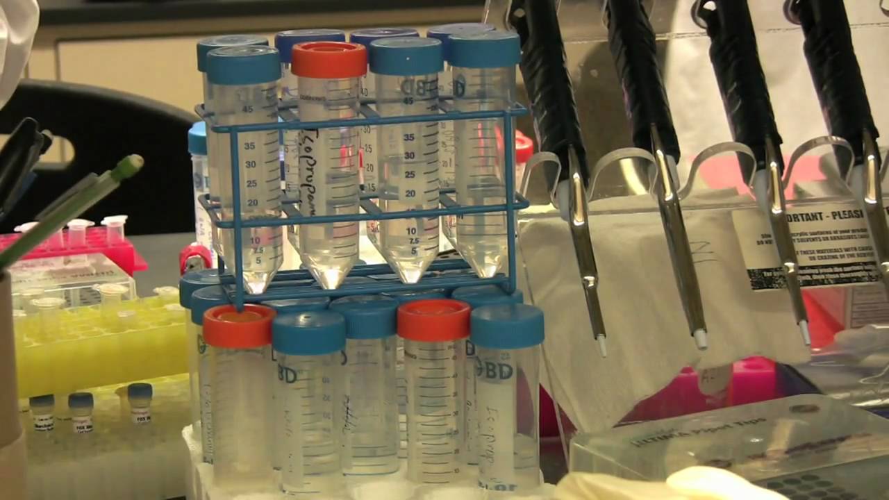 Rutgers Expands Genetic Research