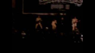 primitive chimpanzee 