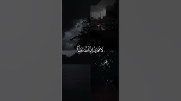 عبدالرحمن مسعد #القرآن_الكريم #اكسبلور #تلاوات #المصحف #تلاوة_خاشعة #لايك #اهميه #ترند #الرحمن