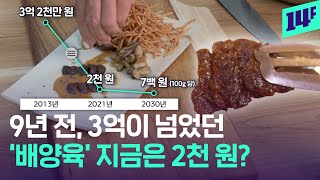 목초지도 필요 없고, 도축도 필요 없다! 20년 뒤엔 대체육이 육류 시장 절반 이상? / 14F