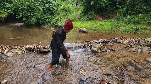 Đặc sản toàn món ngon cho bố em Đồn và bà cụ 73 tuổi sinh tồn trong rừng. Nguyễn Tất Thắng