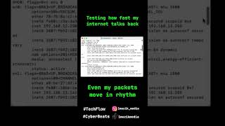 Check Your IP &amp; Test Connectivity on macOS | ifconfig and ping