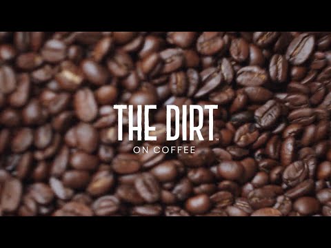 The Dirt on Coffee by Daily Harvest