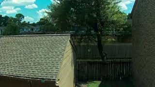 Backyard Timelapse 20260704