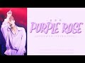 LYRICS SEVENTEEN JEONGHAN 솔로곡 PURPLE ROSE ENG 한글 ROM LYRICS SEVENTEEN JEONGHAN 솔로곡 PURPLE ROSE ENG 한글 ROM