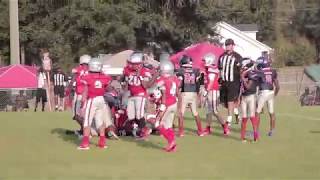 SARALAND VS EIGHTMILE 10U 2019