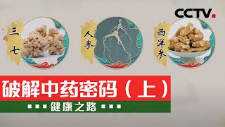 人参、丹参、西洋参、三七等中医药材 你们都用对了吗20210325 |《健康之路》 CCTV科教