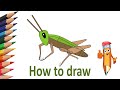 How to simply draw a grasshopper, #YouTubeKids
