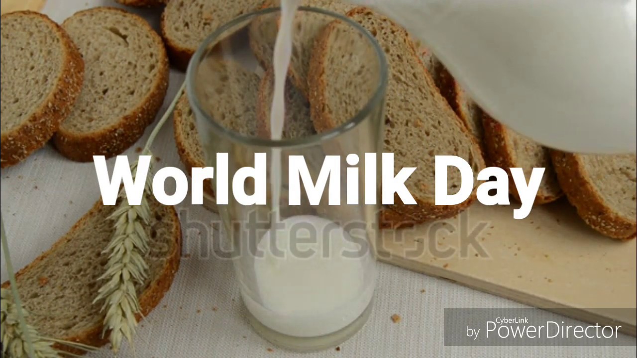 Milk Cow Milk World Milk Day 2019 Activities Ads Article Theme Gaay Ka Doodh