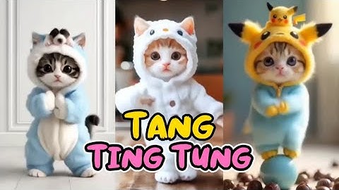 TANG TING TUNG KUCING JOGET DAN BERNYANYI