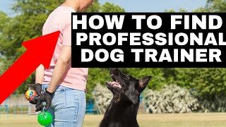 6 Ways To Find A Professional Dog Trainer  | Dog Training Fundamentals | Dog Training 101