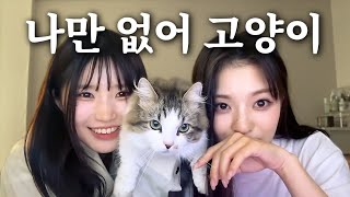 나만 없어 고양이 (라이브 요약) (ENG SUB) [프로미스나인 하영/나경]