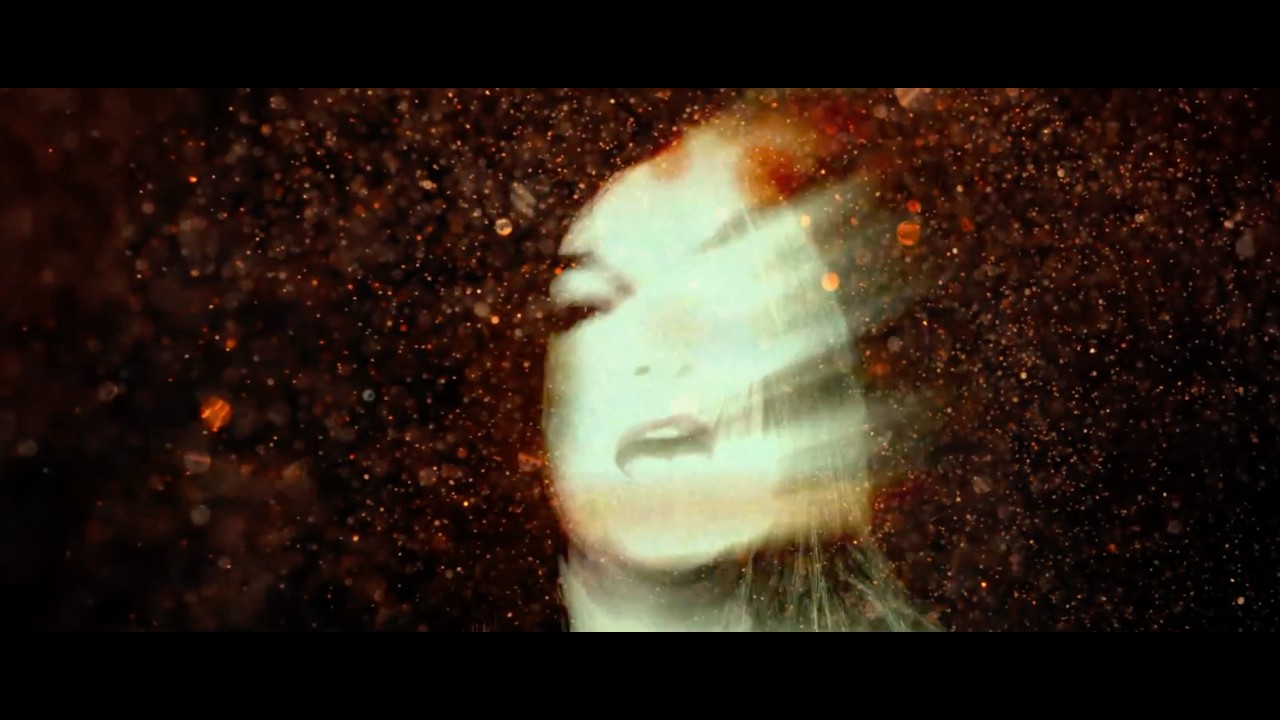 When I was a Bird - Stepha Schweiger (Official Video | L'ST records)