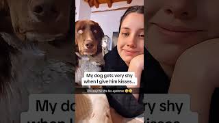 🐶 😍 ♥ O beijo que te faz apaixonar🐶 😍 ♥ #love #dog #dogshorts #dogsofinstagram #dogsofyoutube #pets