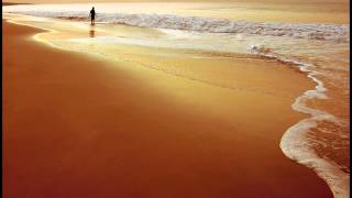 朝　Cyberteam In Akihabara Ost Rebis