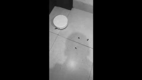 Smart Electric Cleaning Robot