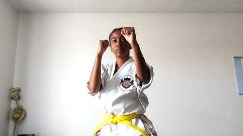 Outside Forearm block, Reverse Punch, Front Snapping Kick Combination