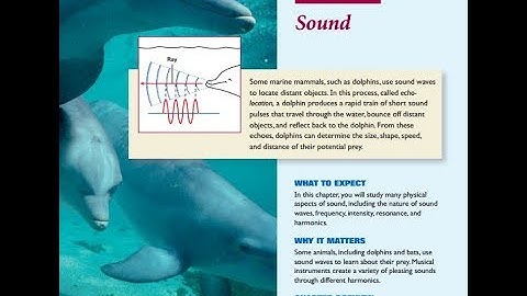 11- SOUND WAVES AND DOPPLER EFFECT  | HOLT PHYSICS